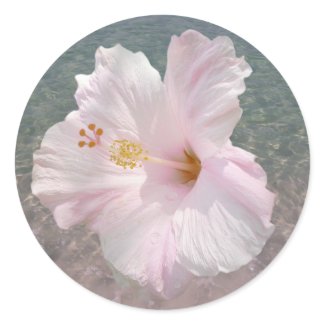 Pink Hibiscus and Ocean Water Sticker sticker