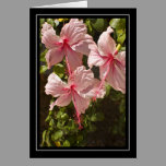 Pink Hibiscus Blank Card
