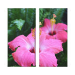 Pink Hibiscus Canvas Print
