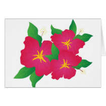 Pink hibiscus cards