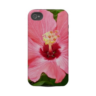 Pink Hibiscus casemate cases