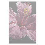 Pink hibiscus flower head, Majorca Stationery Design