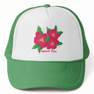 Pink hibiscus hat