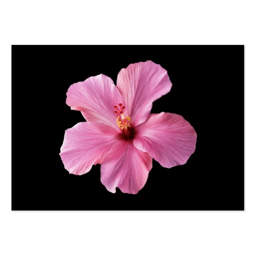 Pink Hibiscus Hawaii Flower Customized Template Business Cards