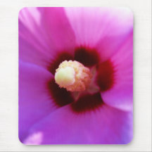 Pink Hibiscus Macro Mousepad