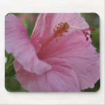 Pink hibiscus Mousepad