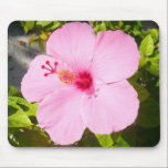 Pink Hibiscus Mousepad