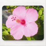 Pink Hibiscus Mousepad