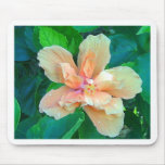 Pink Hibiscus Mousepads