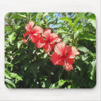 Pink Hibiscus mousepads