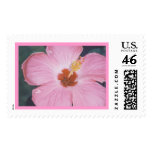 pink hibiscus postage stamps