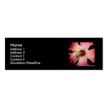 Pink Hibiscus Profile Card Business Card Template