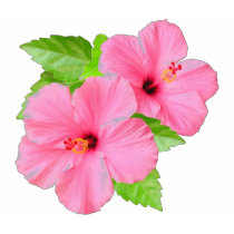 Pink Hibiscus Shirt