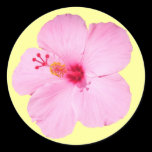Pink Hibiscus Sticker