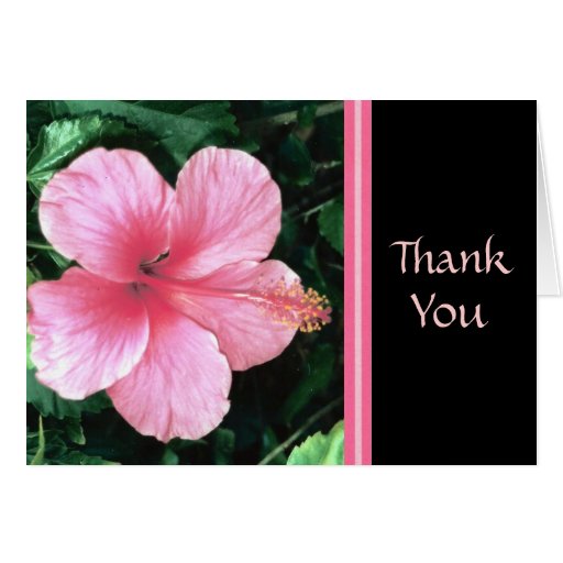 Pink Hibiscus Thank You Card Zazzle 5548