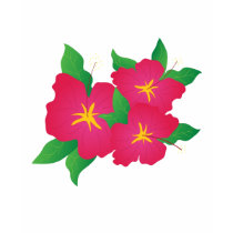 Pink hibiscus t-shirts