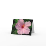 Pink Hibiscus Valentine's Day cards