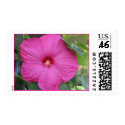 Pink Hibuscus postage