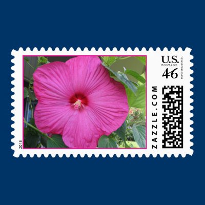 Pink Hibuscus Postage by HollyGwen