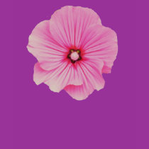 Pink Holly t-shirts by ggbythebay Pink Holly t-shirts