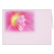 Pink Hollyhock cards