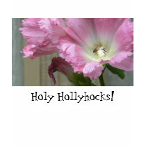 Pink Hollyhocks t-shirts