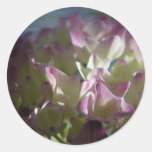 Pink Hortensia Round Sticker