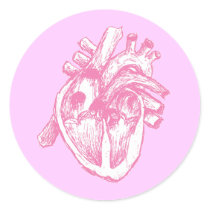 Pink Human Heart stickers