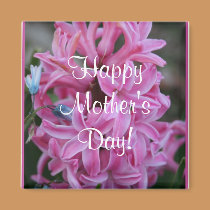 Pink Hyacinth magnets