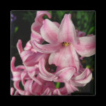 Pink Hyacinth Magnet