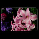 Pink Hyacinth Premium Magnet