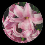 Pink Hyacinth Sticker