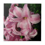 Pink Hyacinth Tile