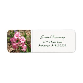 Pink Hyacinths : Address Label