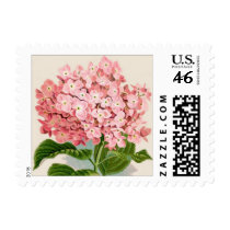 Pink Hydrangea Botanical Print - Stamp