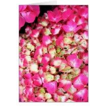 Pink Hydrangea Bouquet Cards