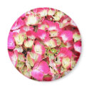 Pink Hydrangea Bouquet magnets