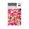 Pink Hydrangea Bouquet postage