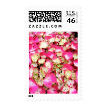 Pink Hydrangea Bouquet postage by CyrScenes Pink Hydrangea Bouquet postage