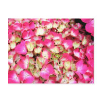 Pink Hydrangea Bouquet Post Card