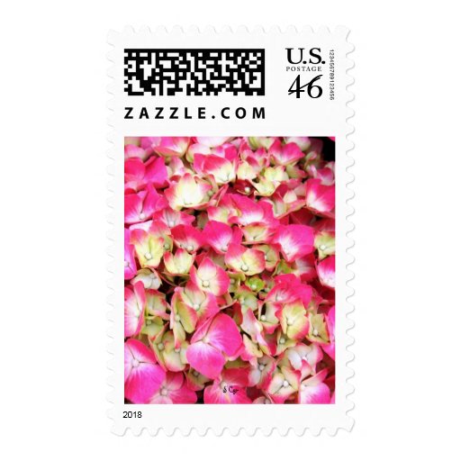 Pink Hydrangea Bouquet Stamp