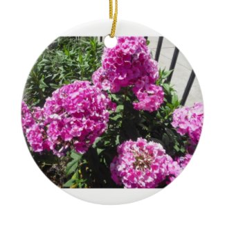 Pink Hydrangea Buddha Quote Ornament ornament