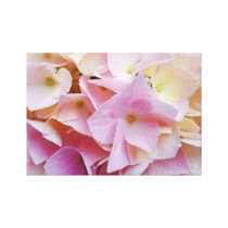 Pink hydrangea
