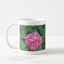Pink Hydrangea Coffee Mugs