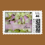Pink Hydrangea Love Wedding Postage Stamps