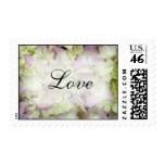 Pink Hydrangea Love Wedding Postage Stamps