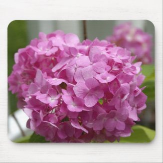 Pink Hydrangea mousepad