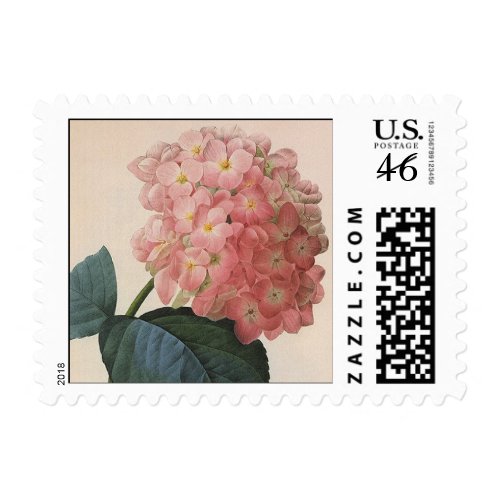 Pink Hydrangea stamp