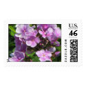 pink hydrangea postage