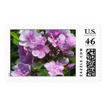 pink hydrangea postage